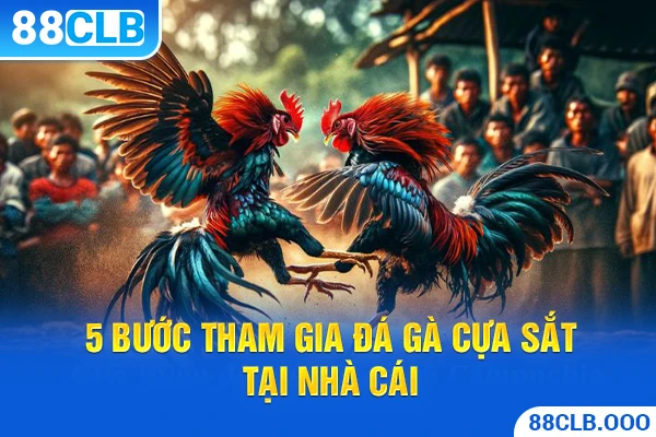 5 bước tham gia đá gà cựa sắt tại nhà cái 