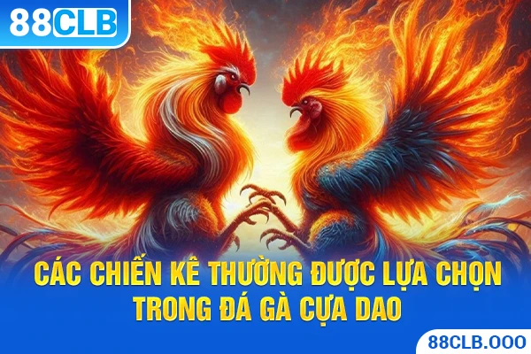 Các chiến kê thường được lựa chọn trong Đá Gà Cựa Dao