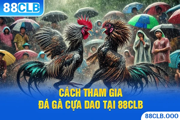 Các chiến kê thường được lựa chọn trong Đá Gà Cựa Dao