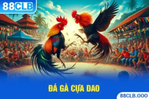 Đá Gà Cựa Dao