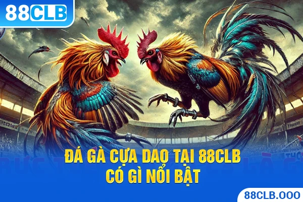 Đá Gà Cựa Dao tại 88CLB có gì nổi bật